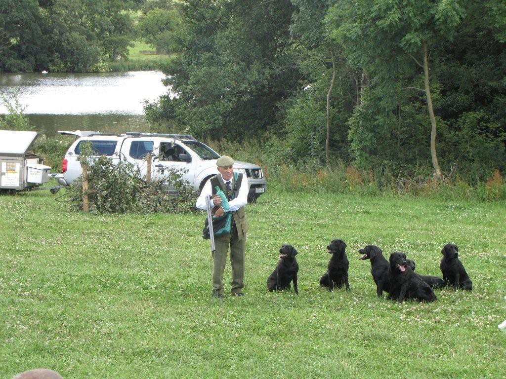 GAME FAIR DEMO 2009